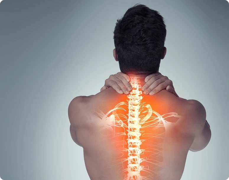 Ayurvedic support for neck pain and musculoskeletal wellbeing