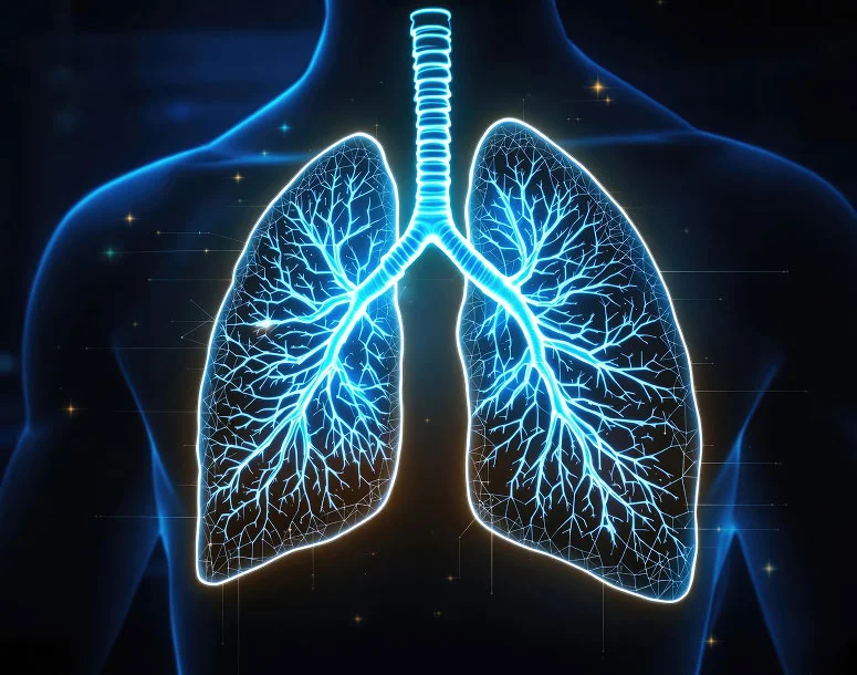 Ayurvedic support for respiratory health and lung wellbeing